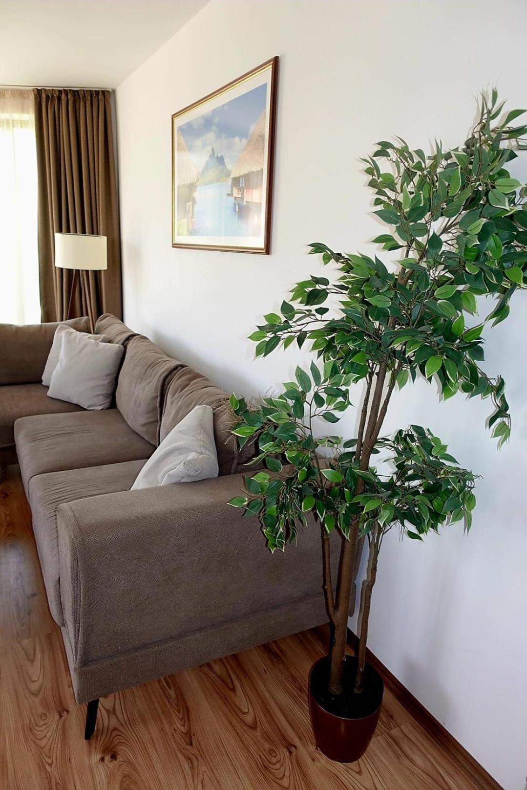 Millennium Apart Complex Aparthotel Sveti Vlas Εξωτερικό φωτογραφία